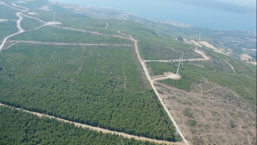 Ağaçlandırma Projesi İle Türkiye Yeşilleniyor