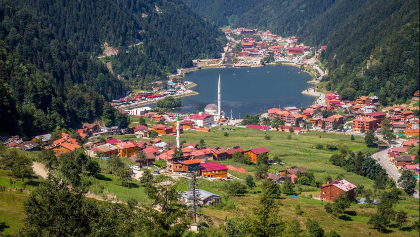 Trabzon İcraatları