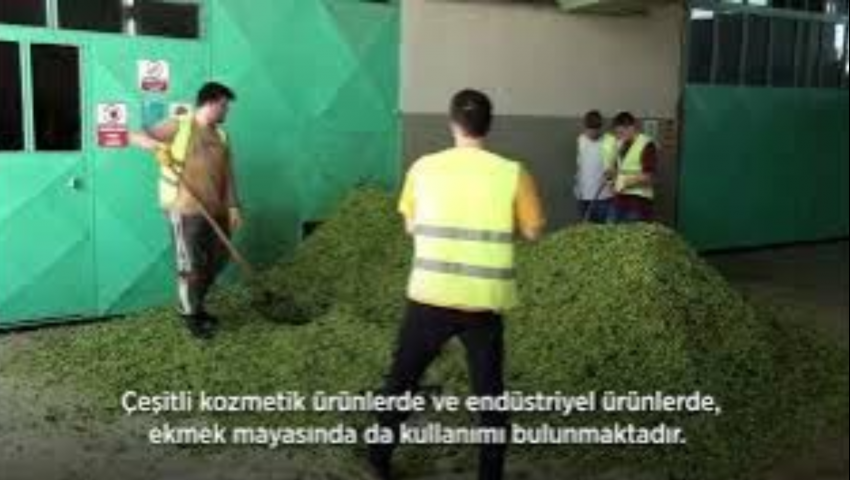 Destek Bizden, Üretim Sizden - Bilecik'ten Kooperatif Başkanı Anlatıyor